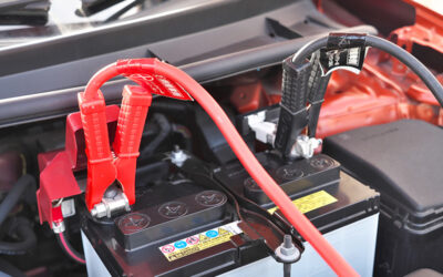 最近寒くなってまいりました。