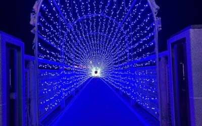 週末上野村へドライブは、いかがでしょうか？